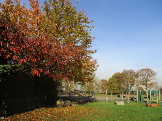 Thumb photo 203880